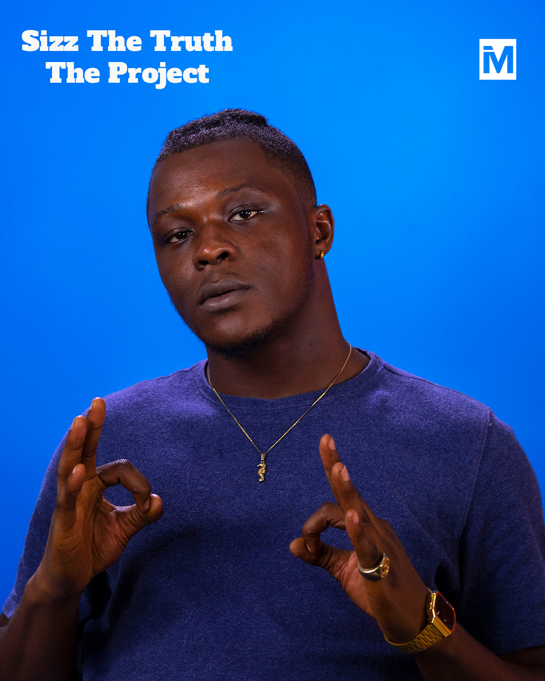 Sizz The Truth Cover