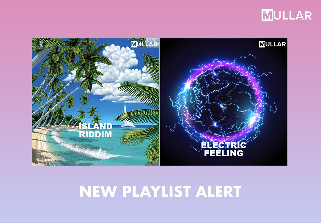 introducing island riddim Electric feeling