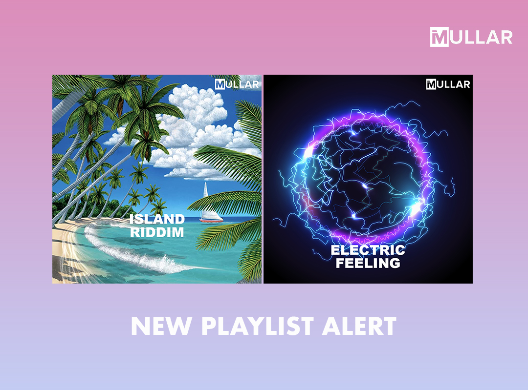 introducing island riddim Electric feeling