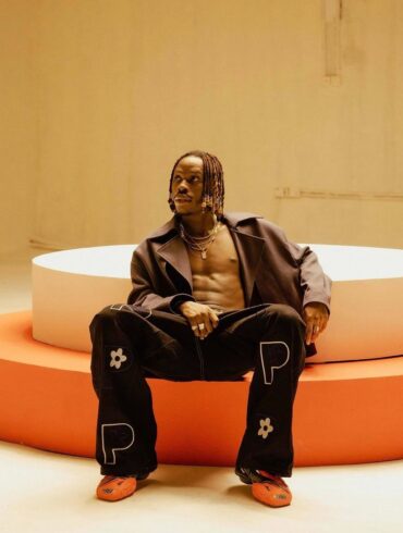 Fireboy DML picture
